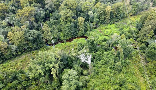 Building Photo - 16079 SE Janet St