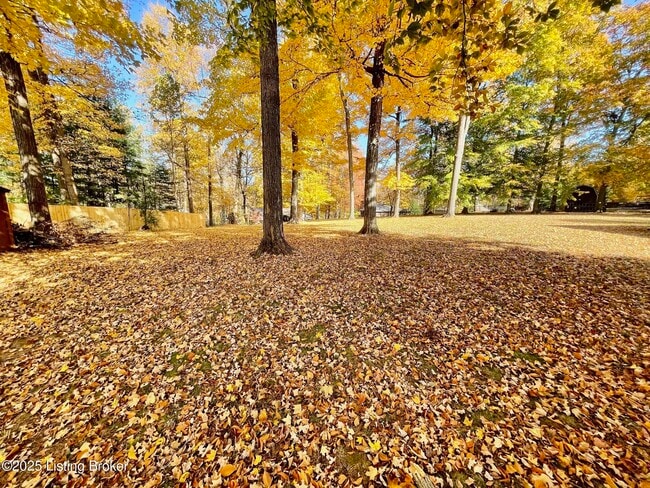 Building Photo - 4023 Tanglewood Dr