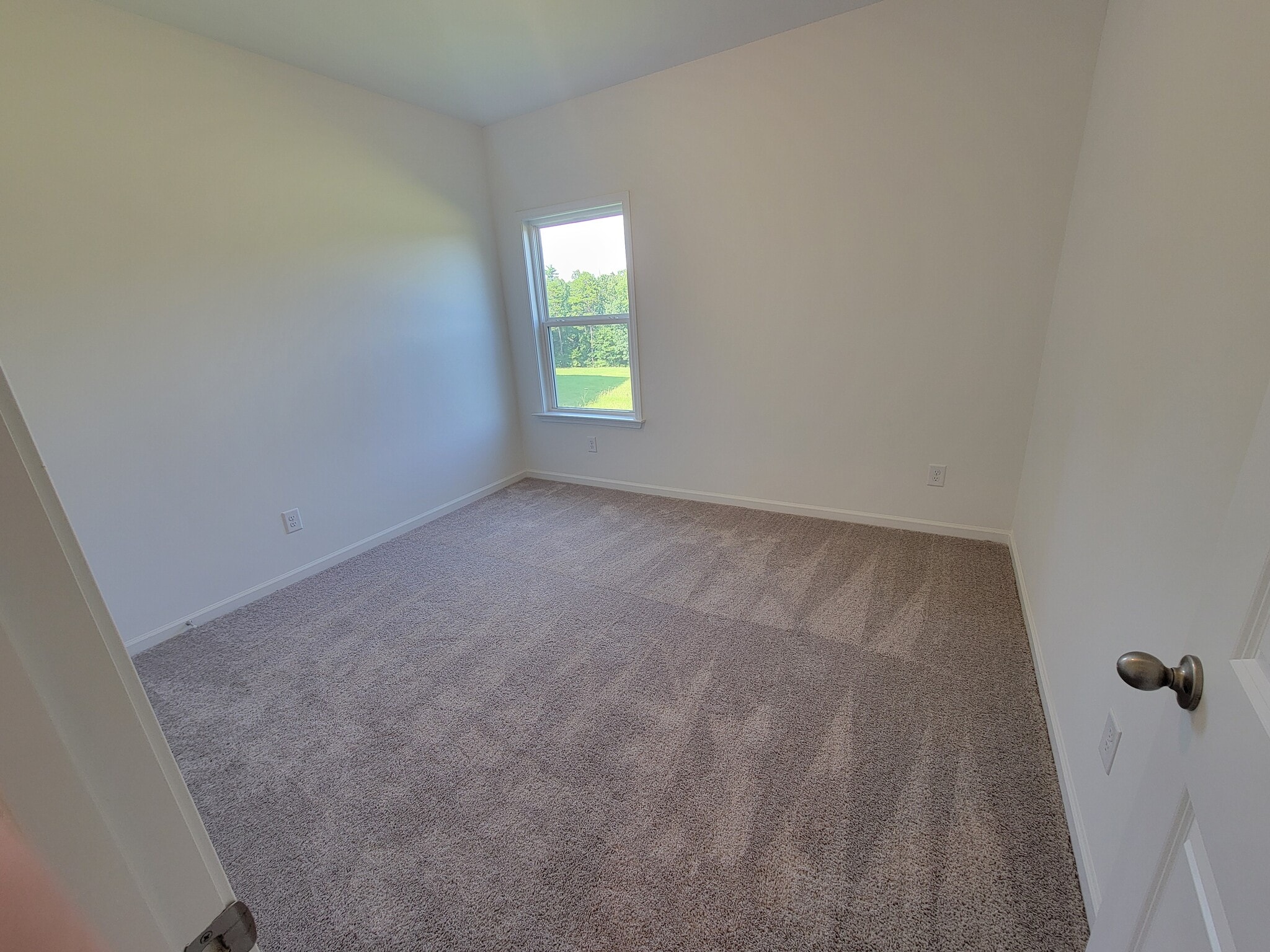 Guest room downstairs - 215 Foxhill Dr