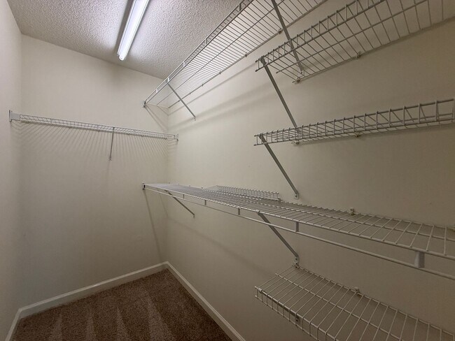 Building Photo - 5337 Moss Creek Ln
