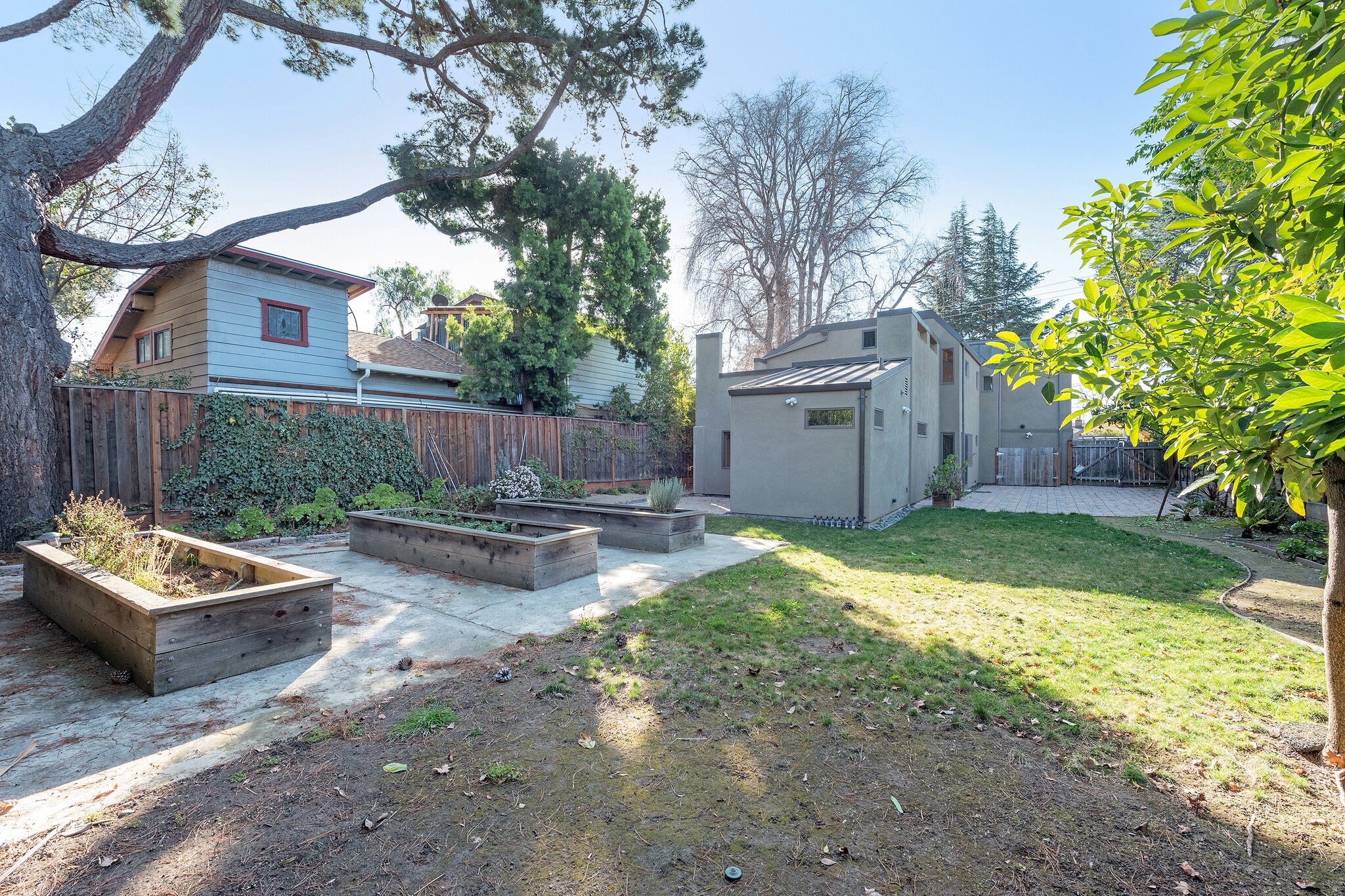 Back Yard - 570 Okeefe St
