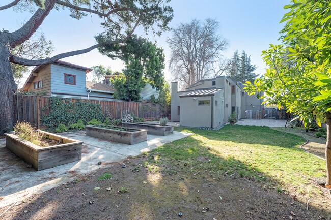 Back Yard - 570 Okeefe St