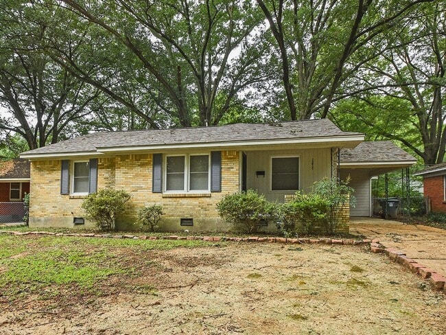 Primary Photo - Updated 3 bed, 1.5 bath near U of M.