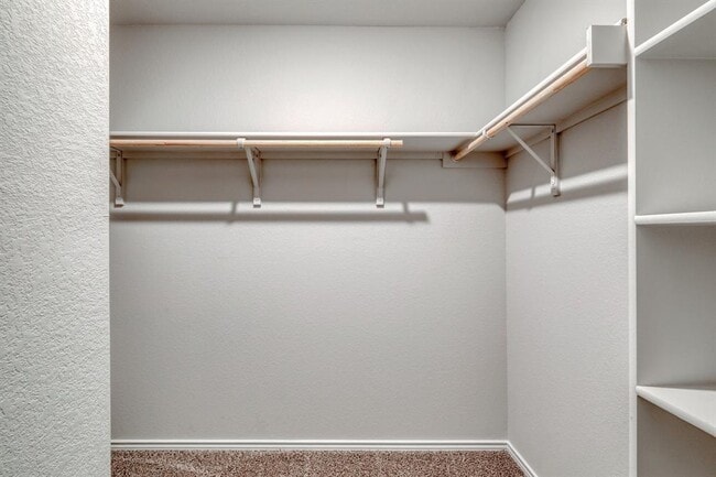 Building Photo - 167 McNamara Ct