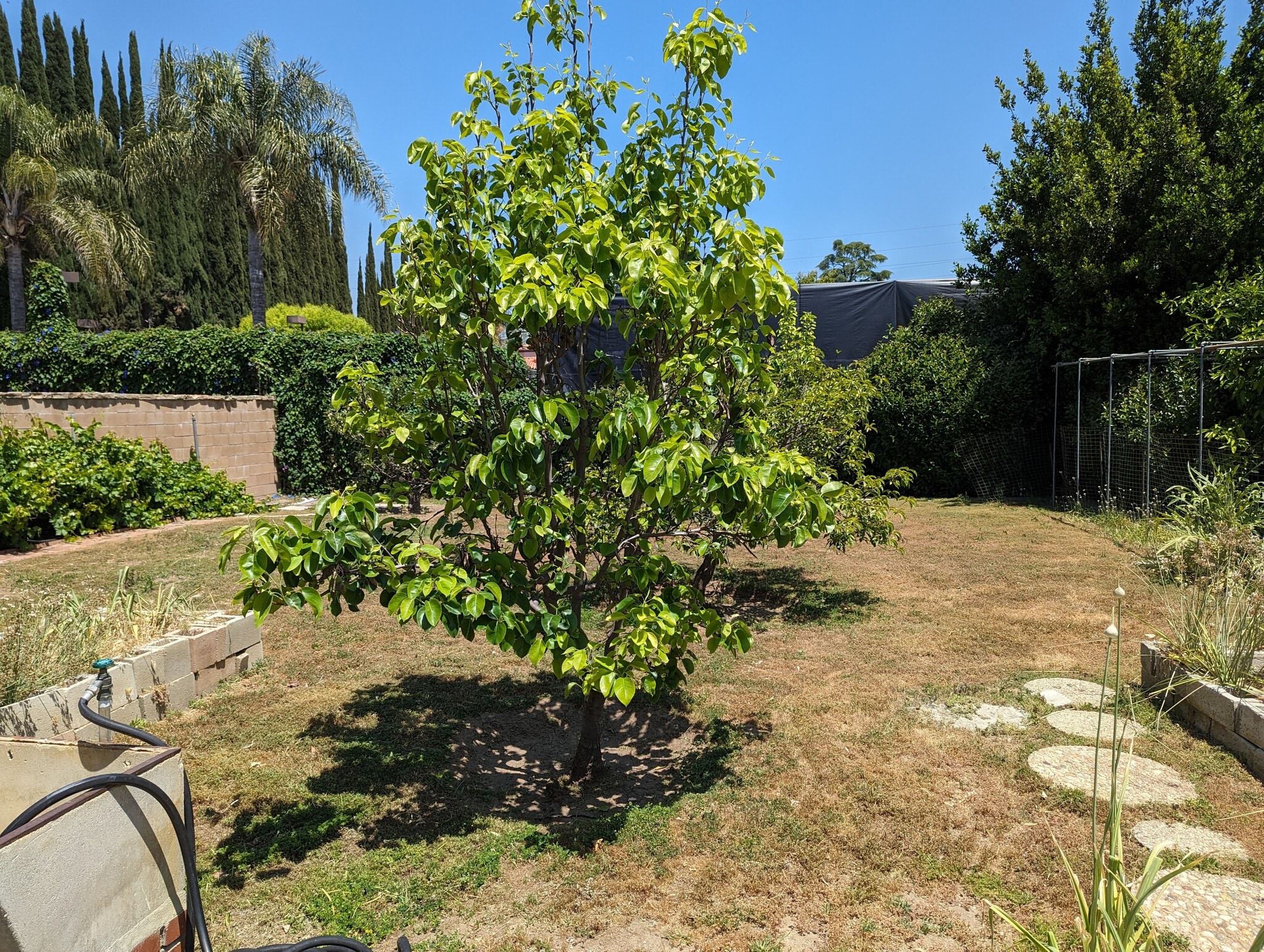 Building Photo - 5440 Topeka Dr