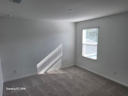 Building Photo - 1337 Sawgrass Hammock Ln