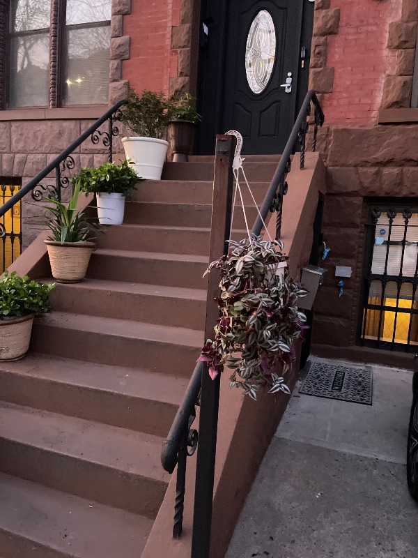 Building Photo - 669 Park Pl