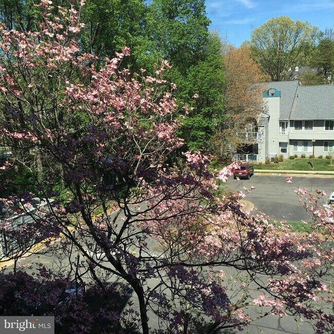Building Photo - 11703 Summerchase Cir