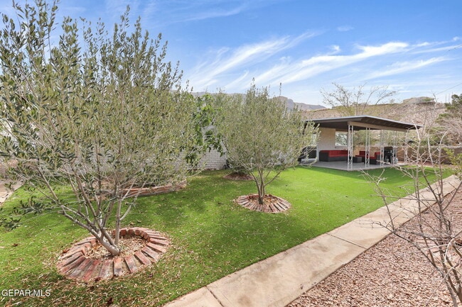 Building Photo - 4871 Los Reales Dr