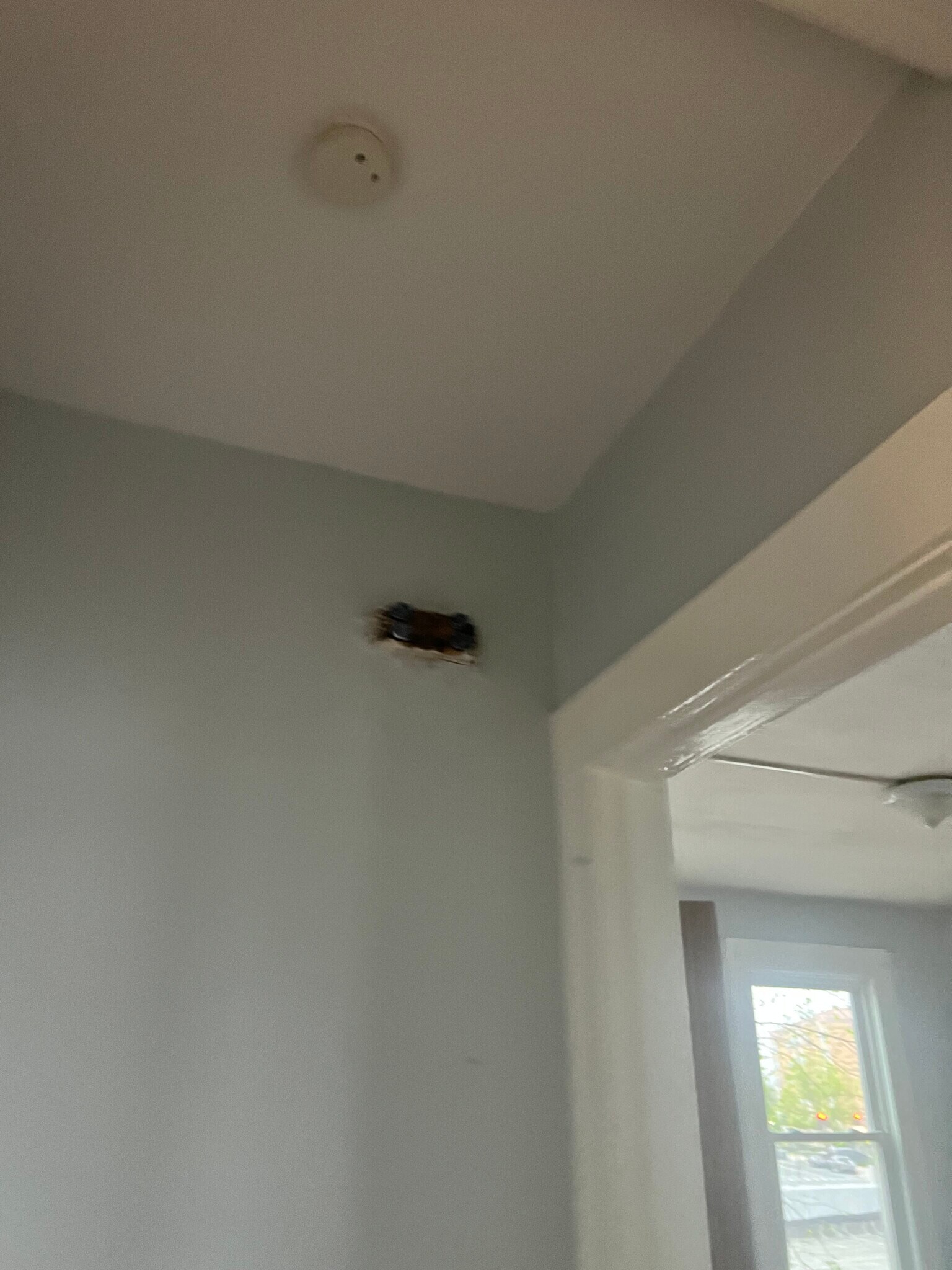 Building Photo - 757 Maple Ave