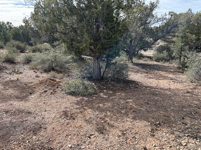 Building Photo - 13912 Grey Bears Trail