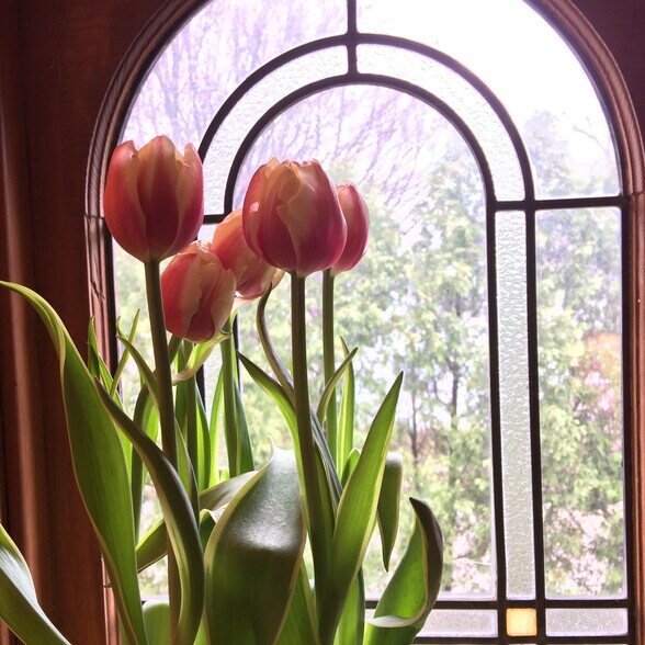 Window detail - 1041 S 96th St