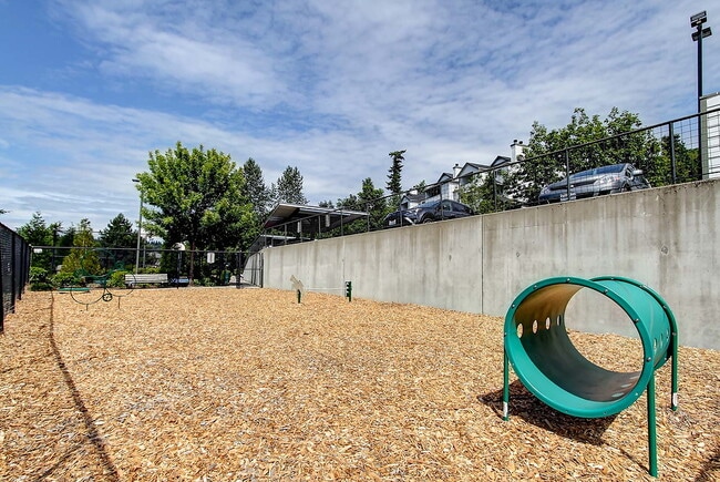 Building Photo - Castle Creek