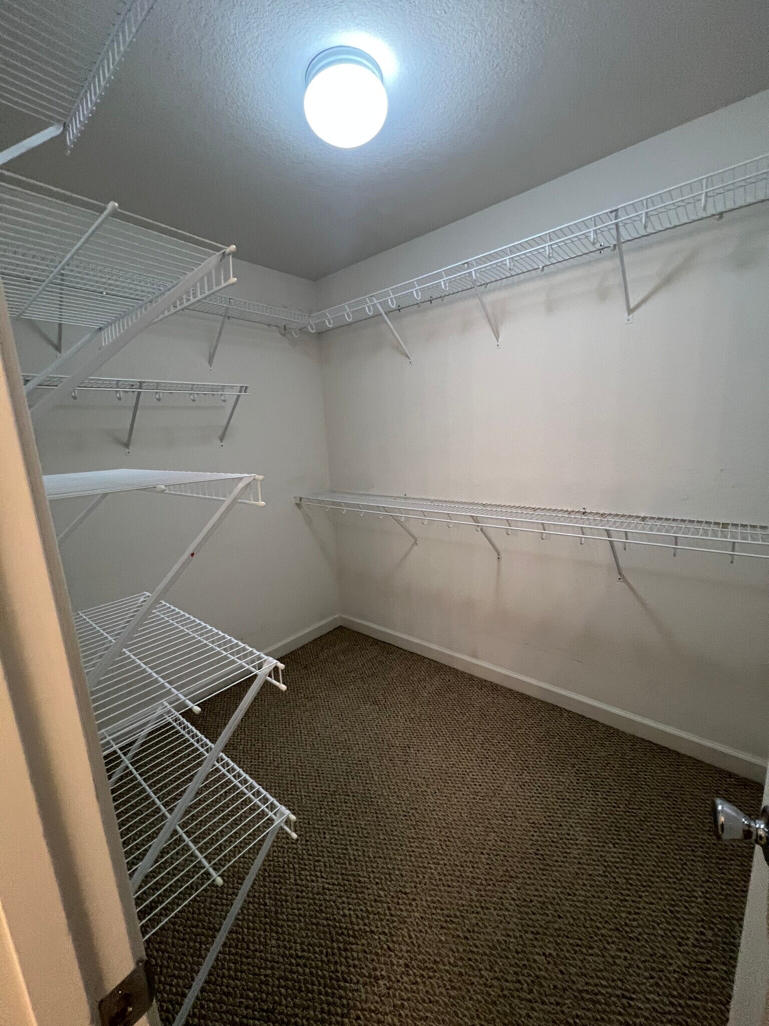 Primary closet - 1315 Abelia Way