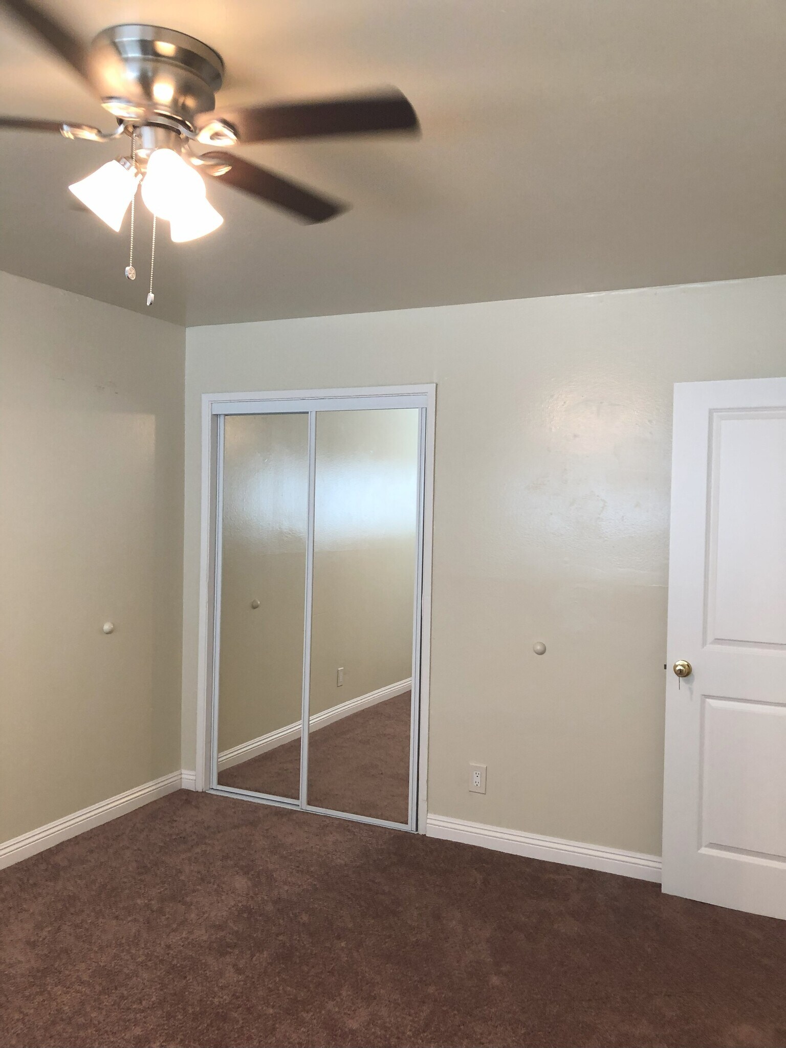 Master Bedroom, new carpeted floors, ceiling fans and venetian blinds - 9226 Palm St