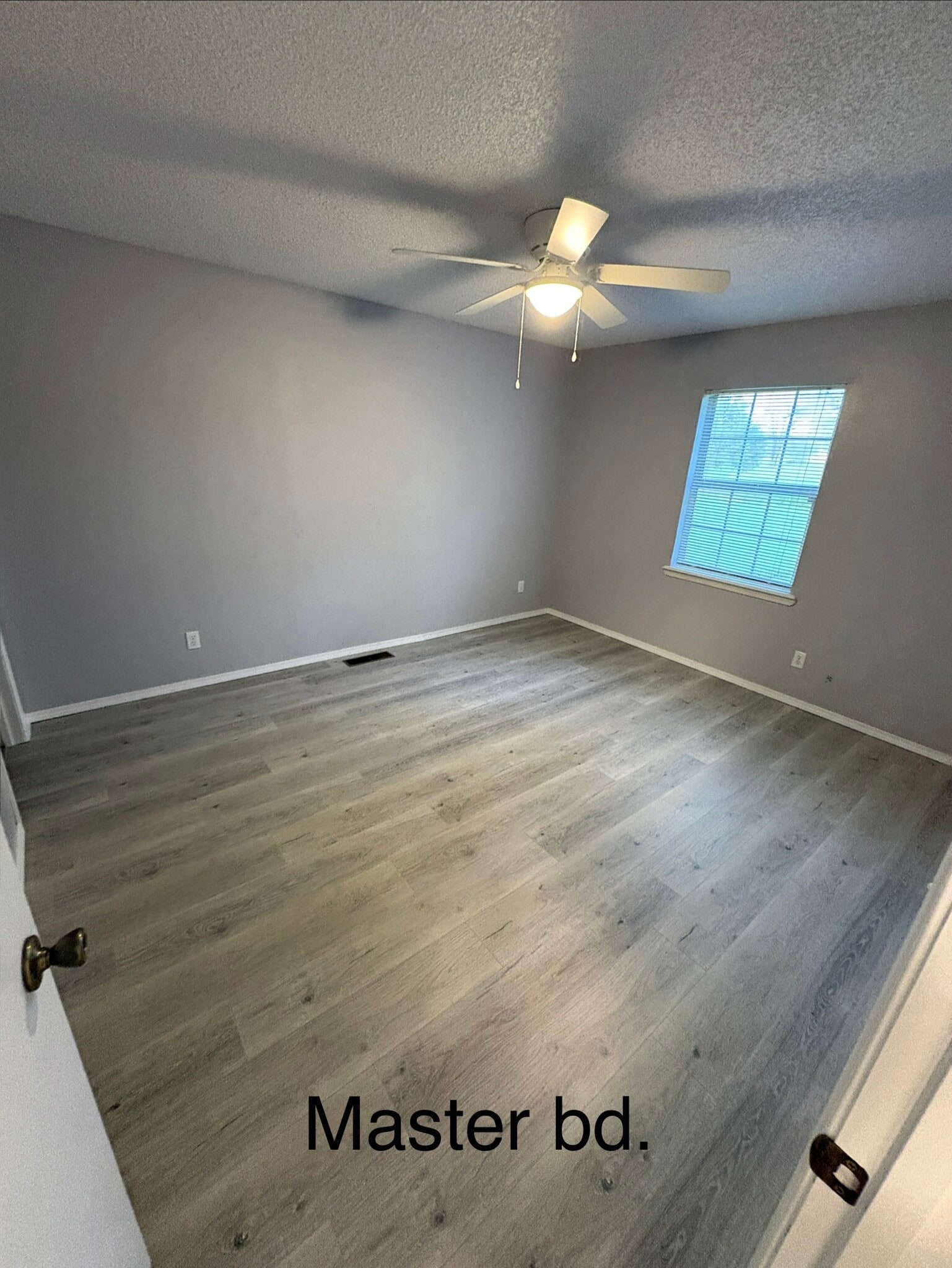 Building Photo - 1021 Cedar St