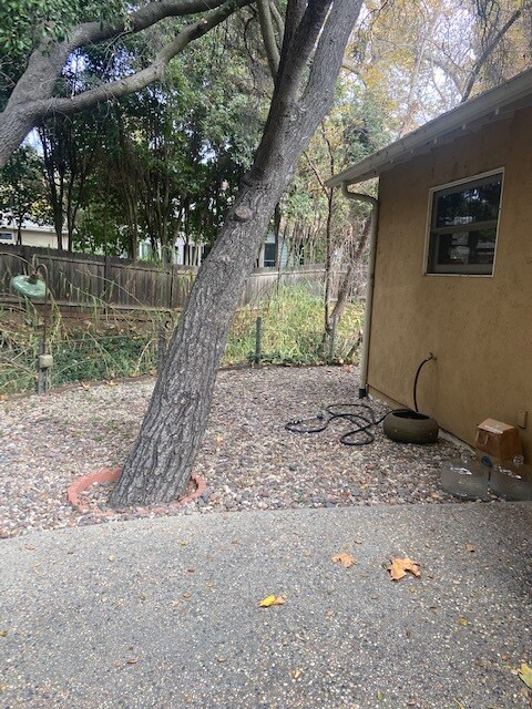 Building Photo - 1268 Old Topanga Canyon Rd