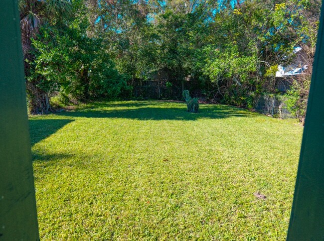 Open backyard - 72 M L King Ave