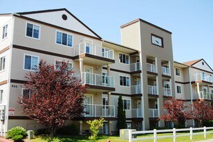 Building Photo - Viking View