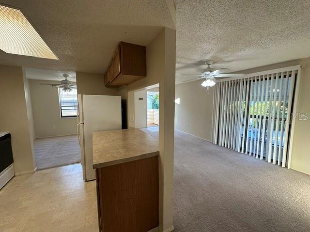 Building Photo - 130 Sabal Ct