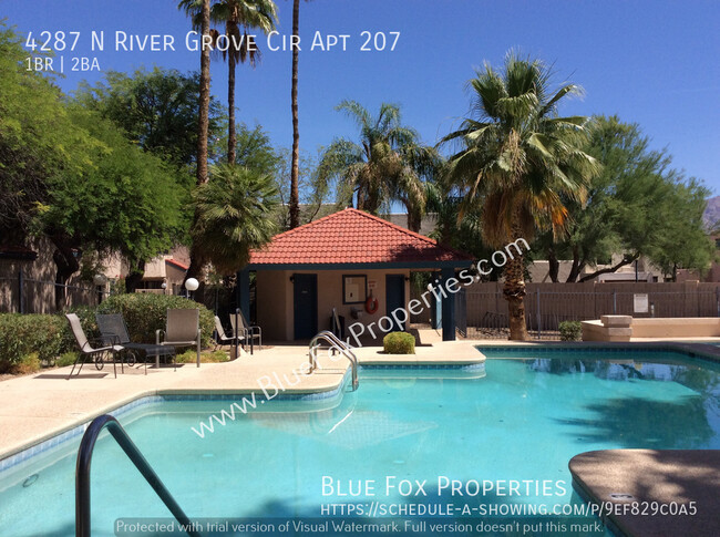 Building Photo - Beautiful Condo 10mins to UofA!