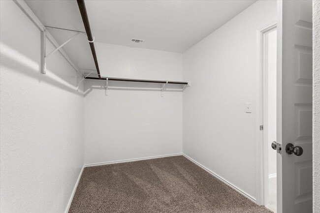 Building Photo - 4909 Sea Salt Dr