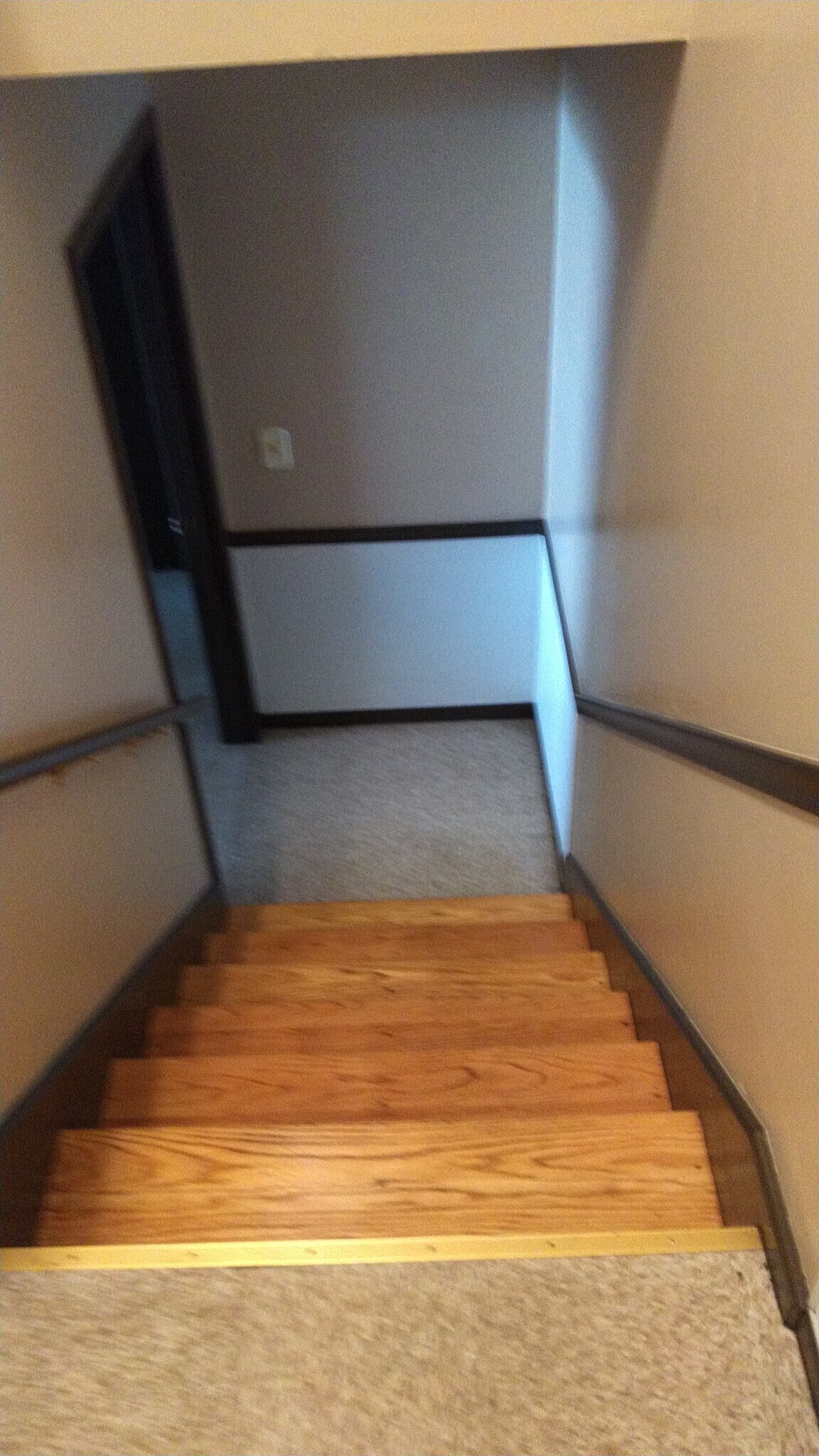 Stairwell going down - 638 Stoddard Ave