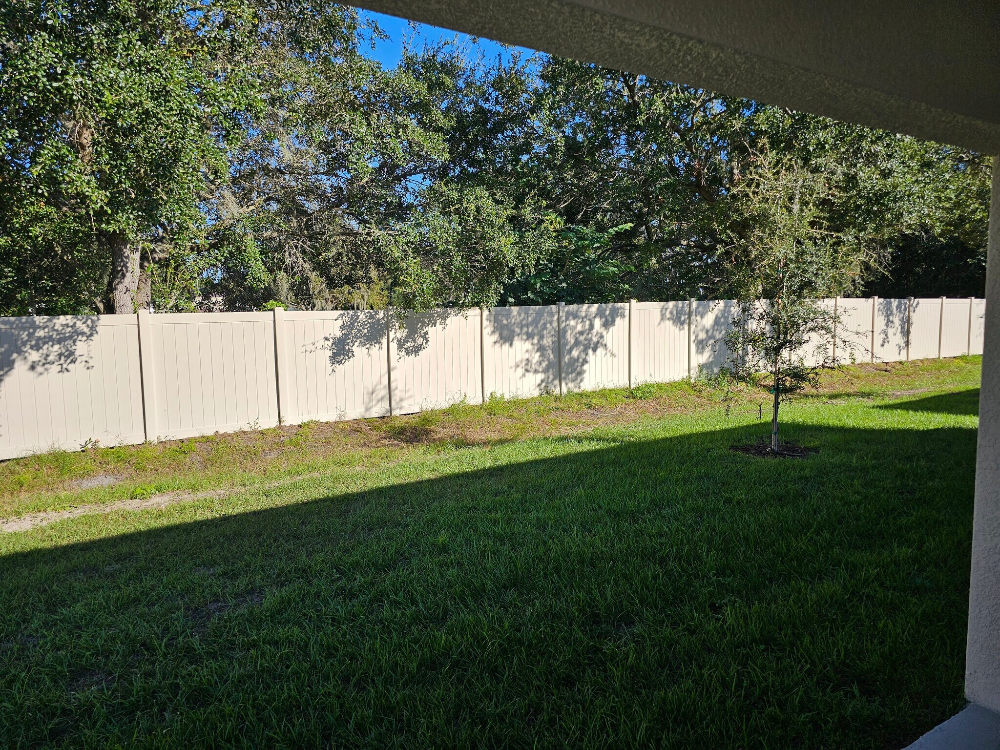 Backyard - 8415 Clearway Dr
