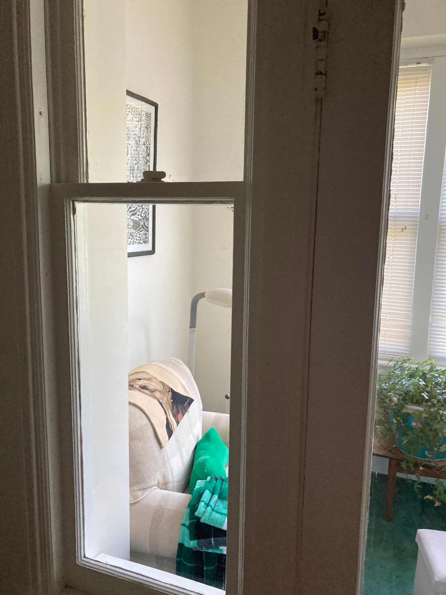 Building Photo - 204 Bradford St