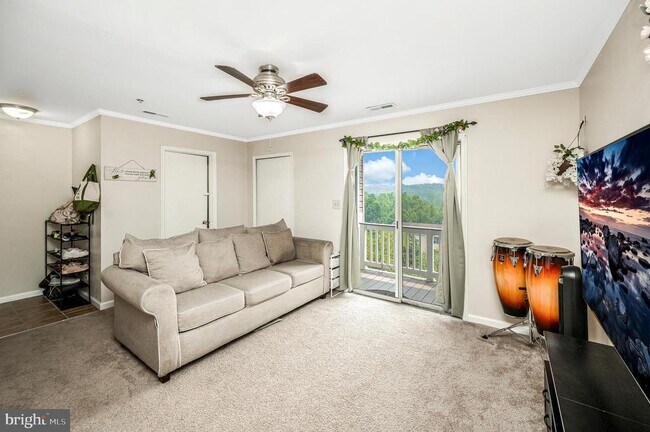 Building Photo - 75 Fern Oak Cir