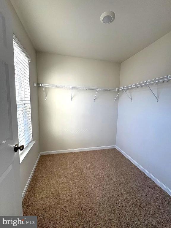 Building Photo - 155 Rae Ct