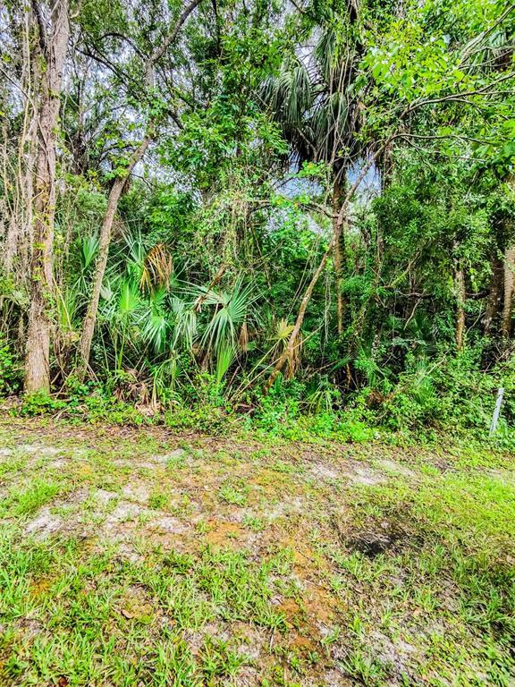 Building Photo - 6265 Ashbury Palms Dr