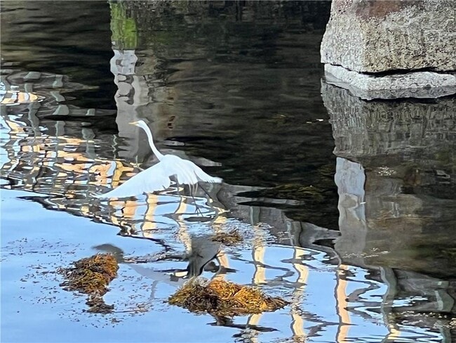 Building Photo - 109 1/2 Second St