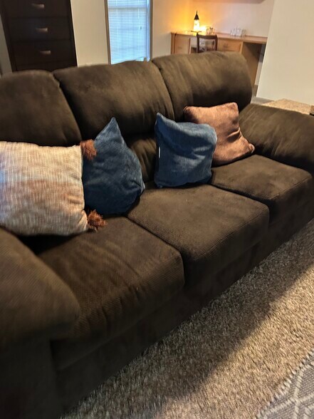 Building Photo - 1205 N Parker St