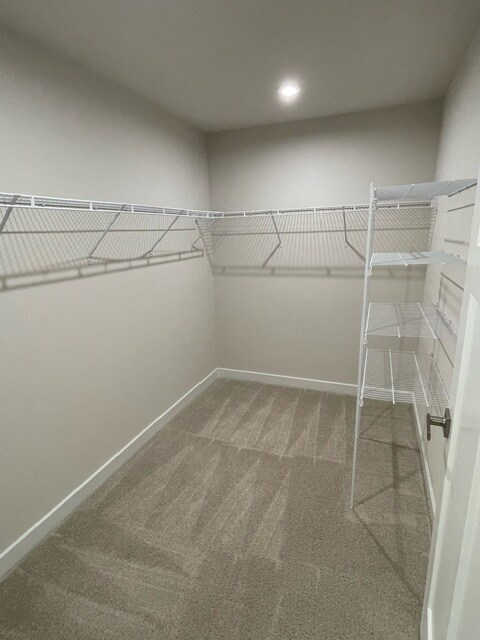 Building Photo - 2356 Elowen Ln