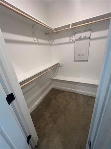 Building Photo - 557 Claiborne Trails Dr