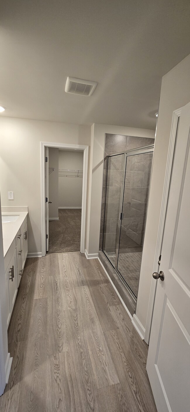 Master Bathroom - 186 Meander Dr