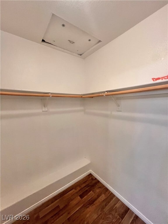 Building Photo - 5017 St Annes Dr