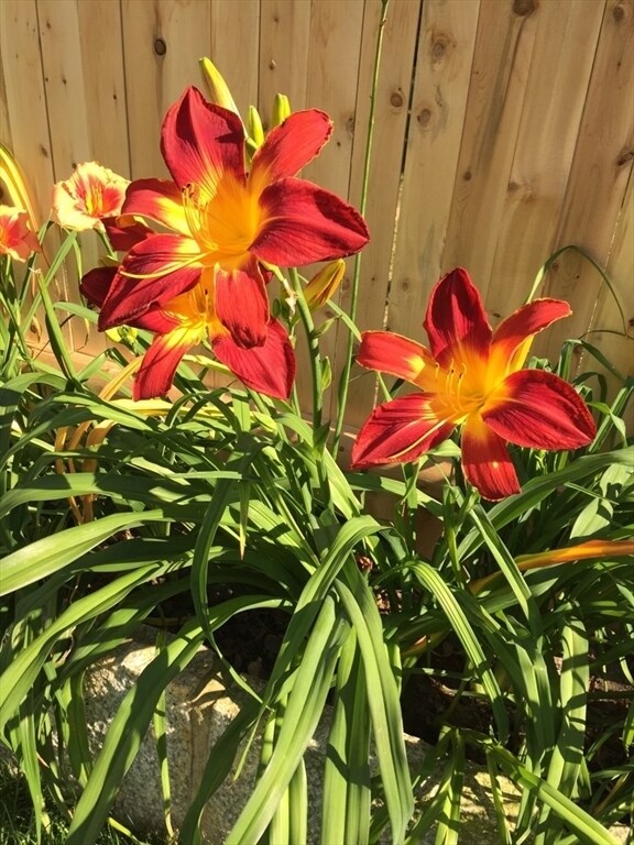 Building Photo - 62-64 Flett Rd