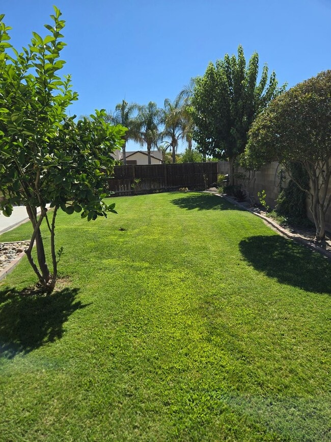 Building Photo - Beautiful 3 bedroom!