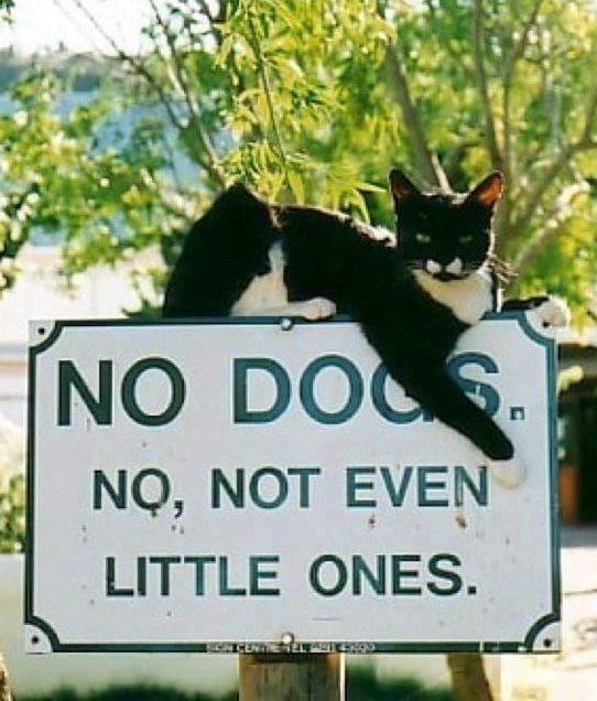 Building Photo - 5344 N Toben Dr