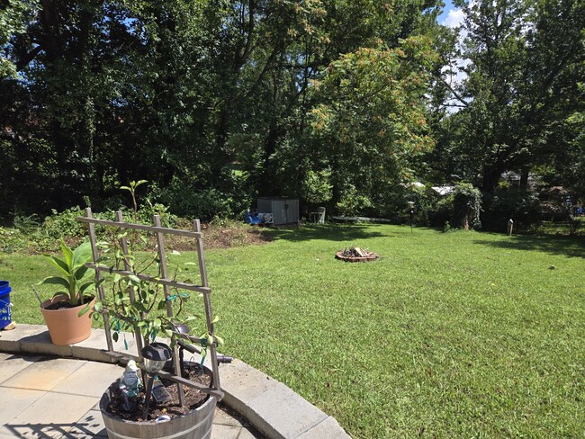 Backyard with firepit - 15 Kirby Pl