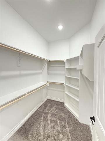 Building Photo - 6114 Kayla Ln