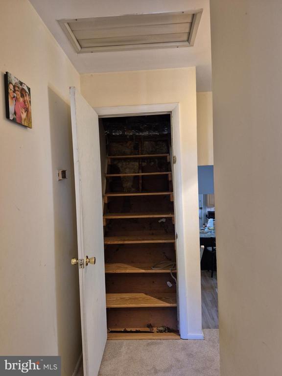 Building Photo - 12512 Ofallon St