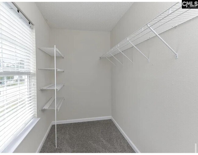 Building Photo - 312 Killian Green Dr