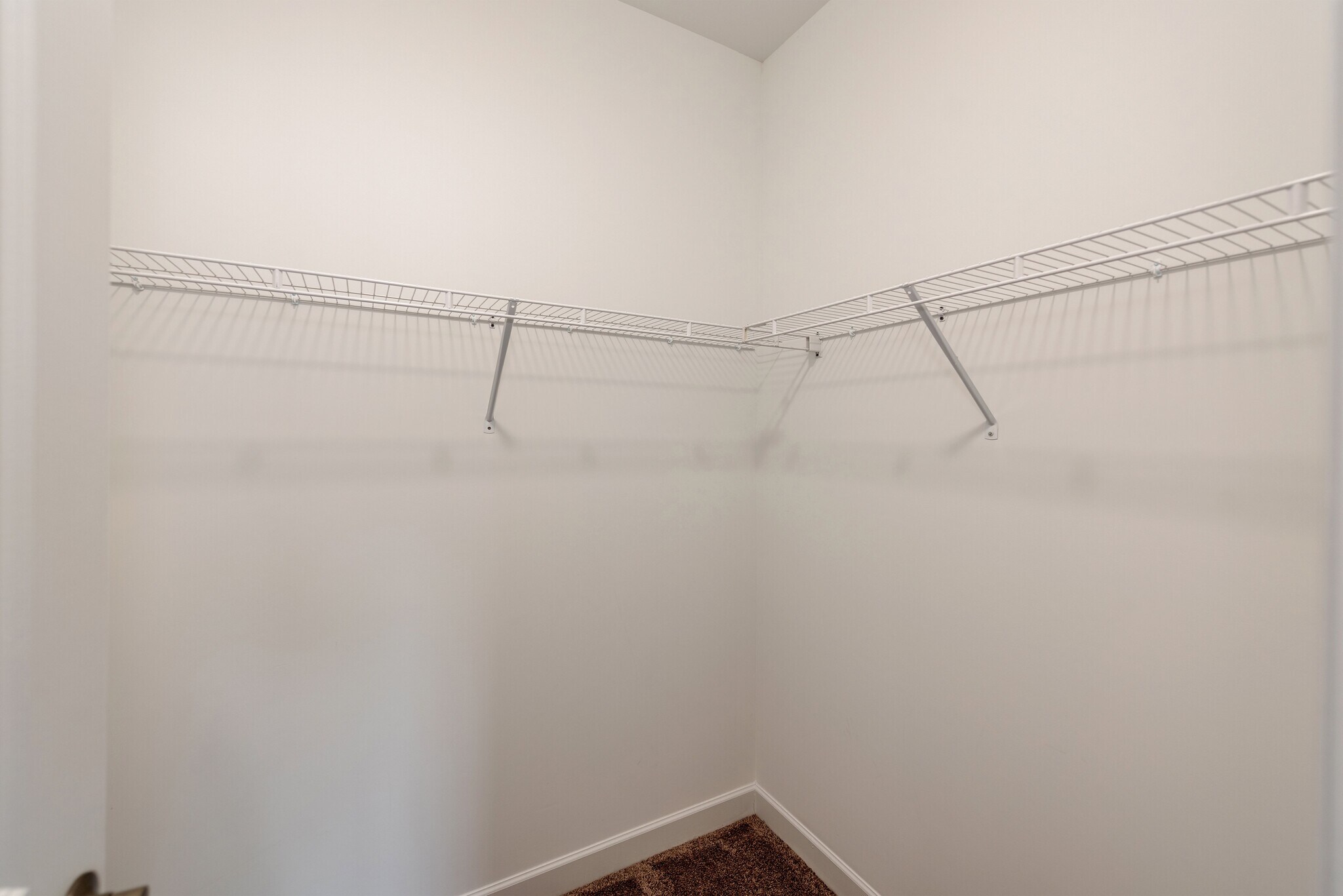 Building Photo - 910 N Ransom St