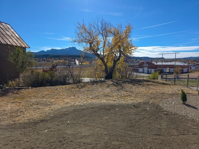 Building Photo - 808 San Pedro Ave