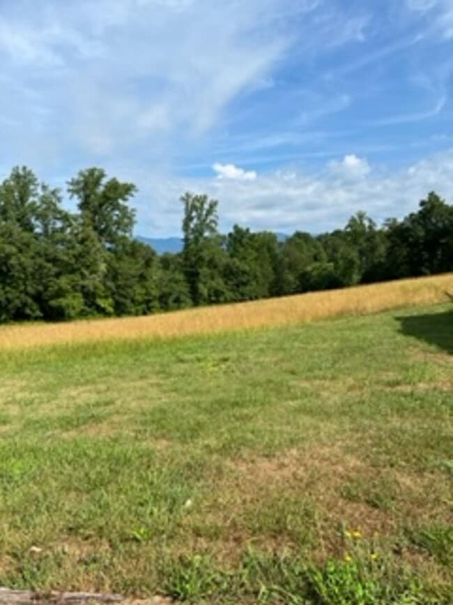 Building Photo - Old Fort Rental