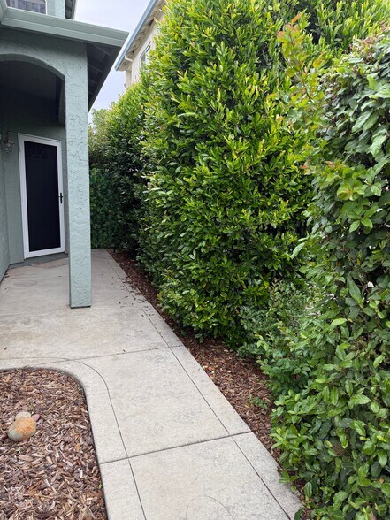 Building Photo - 23 Morning Rose Way