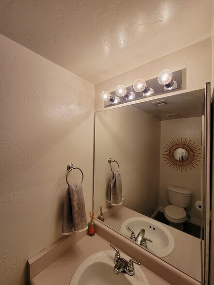 Downstairs Bathroom - 8697 S Desert Rainbow Dr